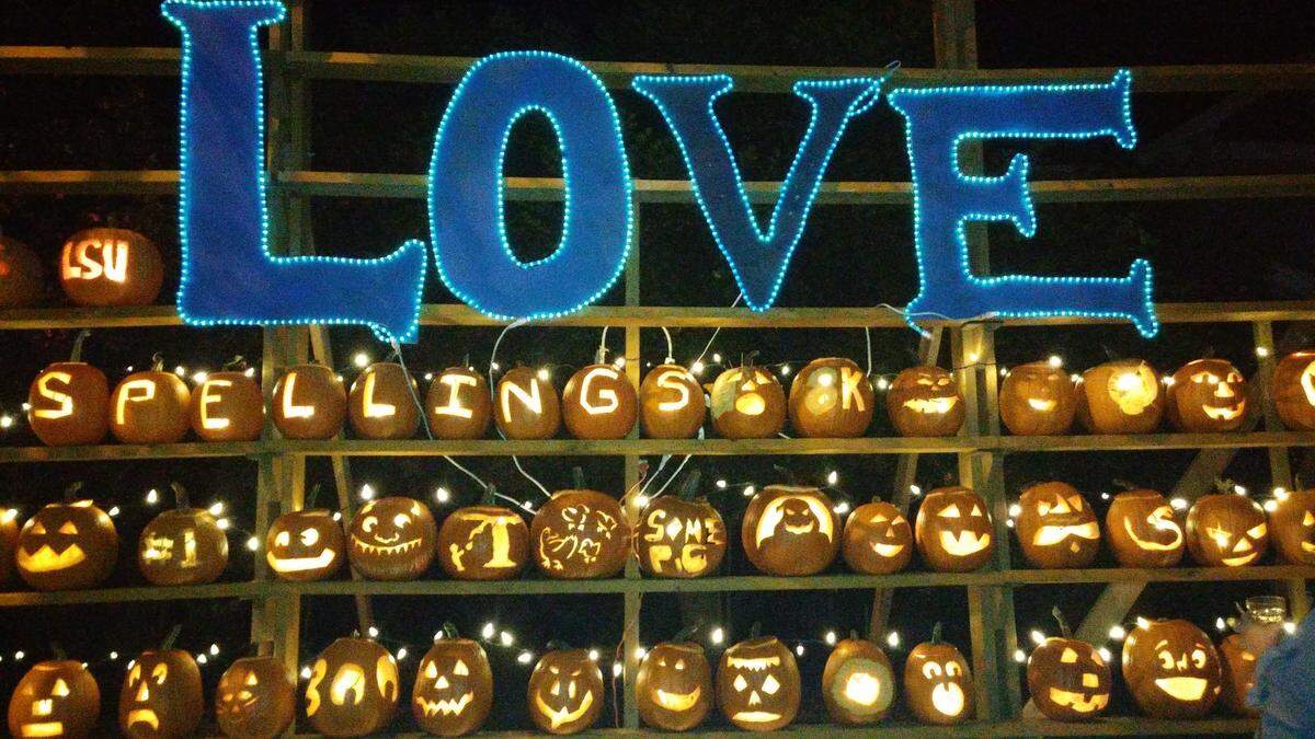 A wide, nighttime shot of a large wooden shelving unit filled with glowing, carved pumpkins. Above the display, a large blue sign illuminated with lights spells out the word “LOVE.” The top row of pumpkins is carved with individual letters, spelling out “SPELLINGS.” The rows below feature a variety of jack-o’-lanterns with different faces and designs. An “LSU” pumpkin is visible on the far left.