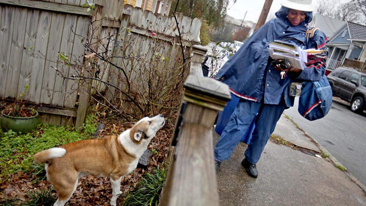 More than 6,200 postal workers were attacked by dogs last year, the U.S. Postal Service says in its annual prevention campaign. 
Charlotte tied for the 14th-highest number among cities with 27 attacks.