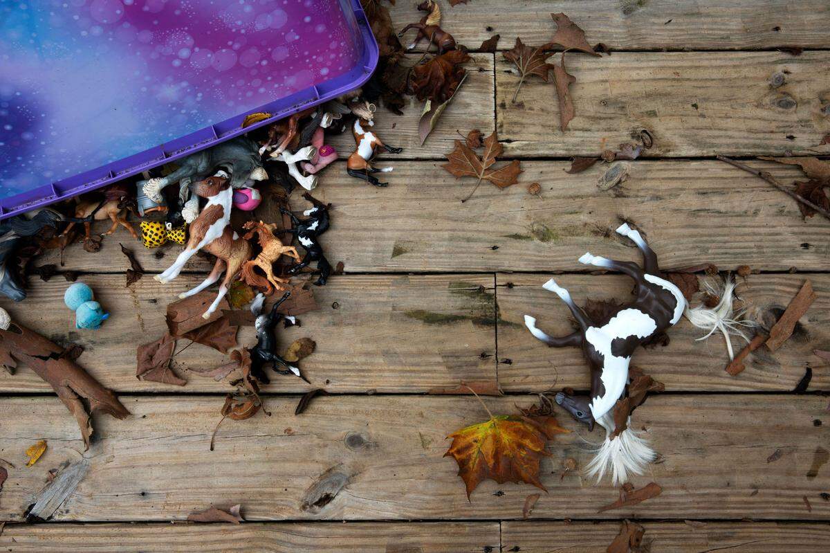 Toy horses belonging to Lynn Sherrill’s granddaughters sat on her back porch more than a month after the girls were killed in a high-speed crash.