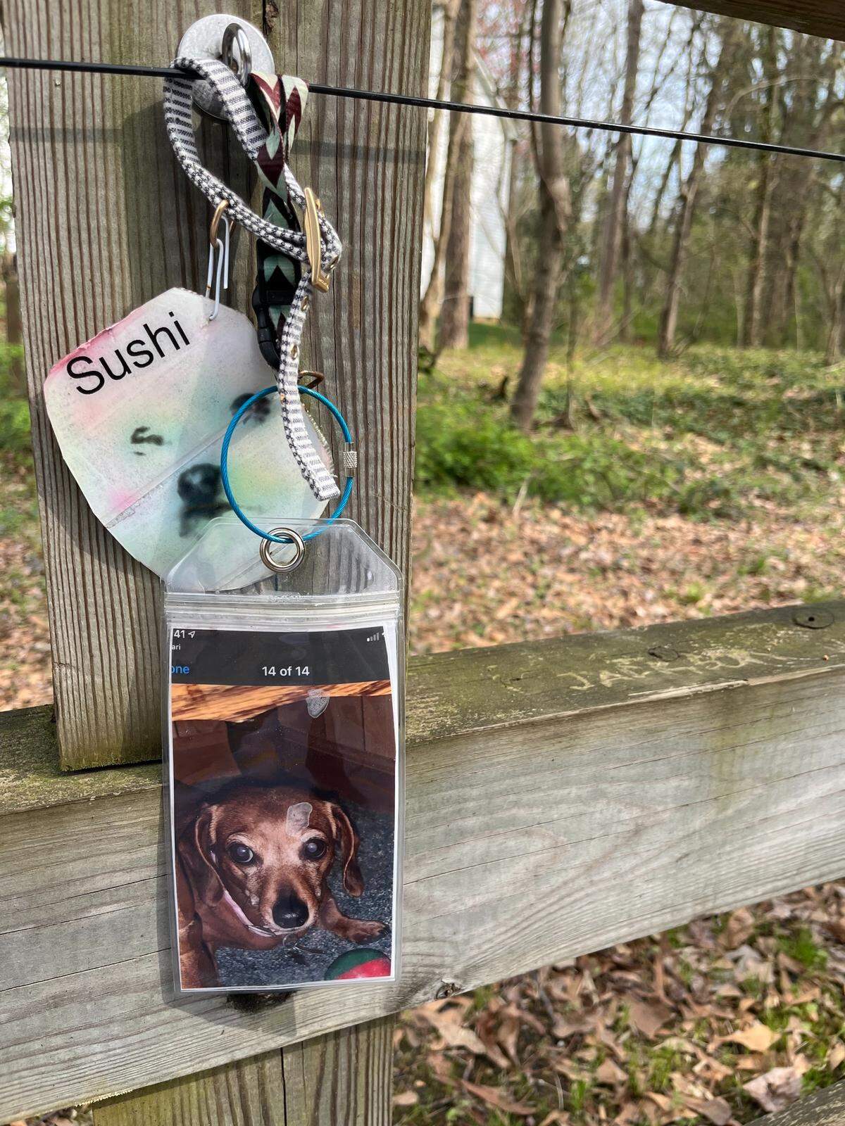 Photos of dogs are seen on the Rainbow Bridge in Lincolnton.