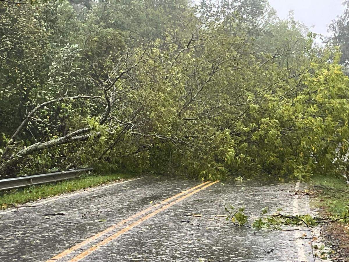 A tree blocked passage of a road near Weaverville, north of Asheville, on Friday, Sept. 27, 2024, after Helene struck.