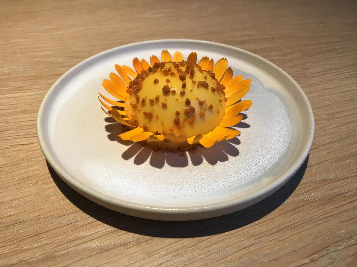 A vibrant yellow, dome-shaped dessert resembling a dandelion flower, surrounded by a ring of bright orange petals and topped with crunchy granules, served on a minimalist white ceramic plate.