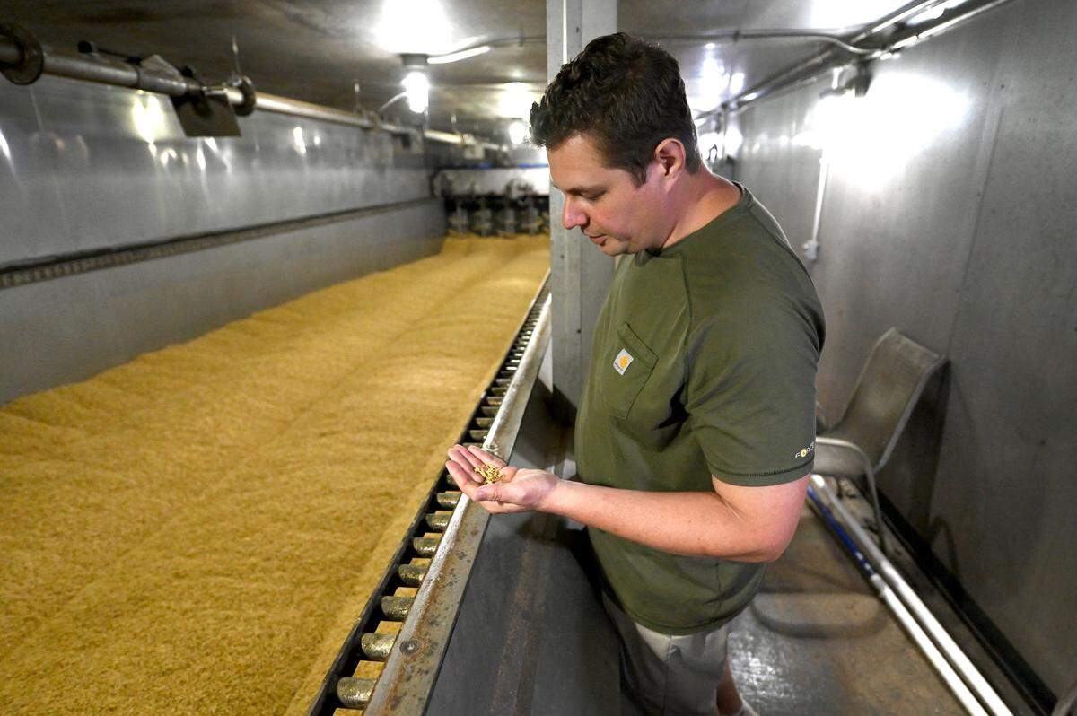 Carolina Malt House co-owner Aaron Goss stands along one of the two production lines in the germination room Tuesday, April 23, 2025. Goss designed the machines.