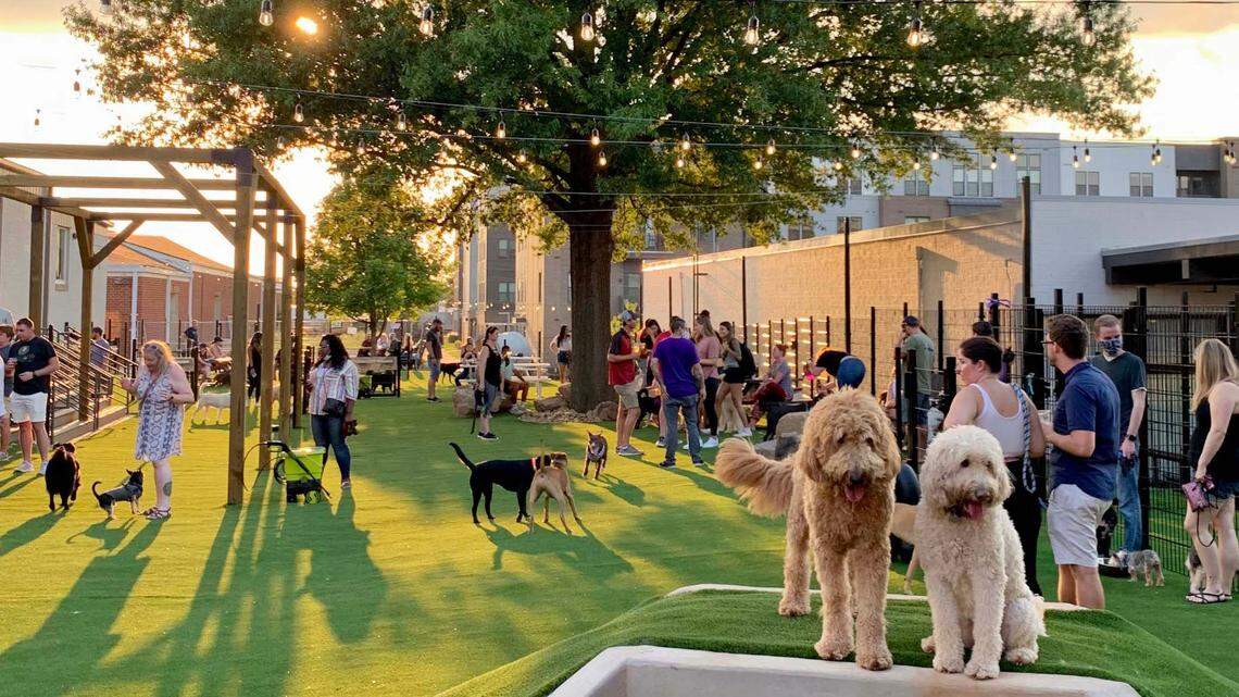 Barktoberfest at Skiptown will feature October-themed music, a photo backdrop and props, German food and tasting glasses.