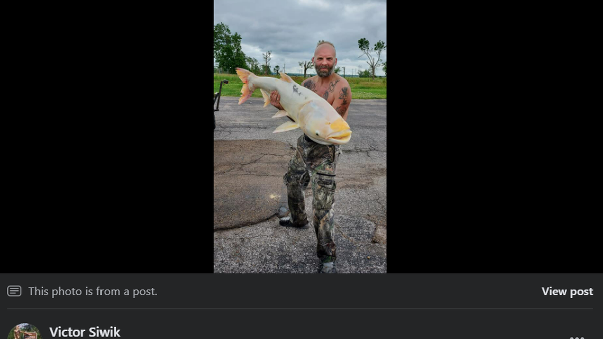 “I saw that white tail come out of the water and I was like...’I cannot lose this fish,’” the man told media outlets.
