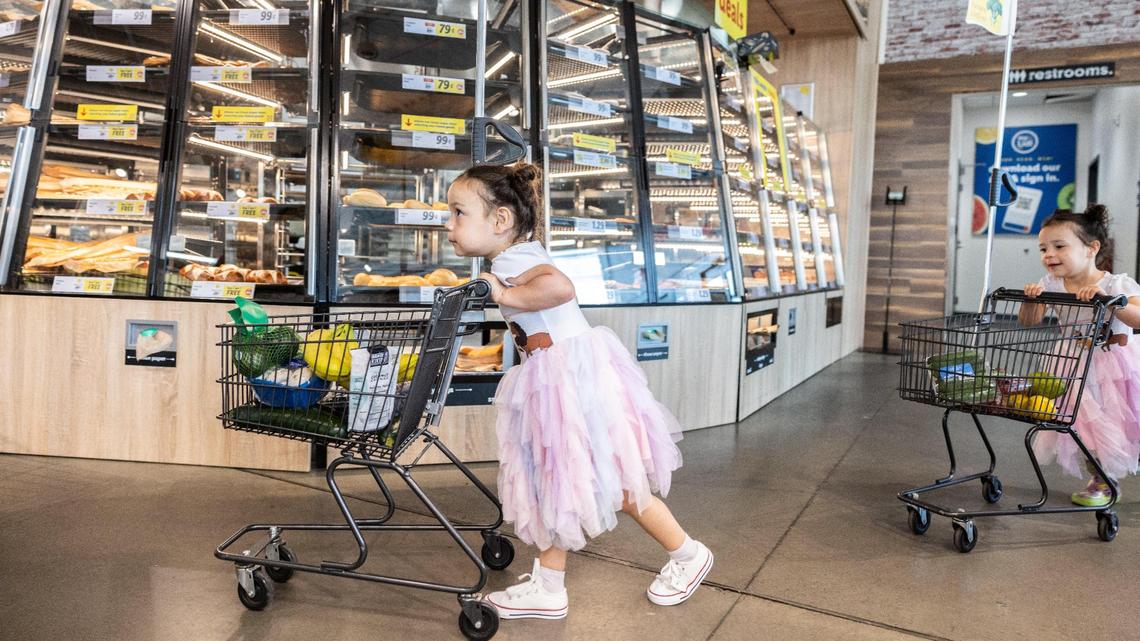 Penelope Colgrove, 3, left, and her twin sister, Mia, push little shopping carts at the Lidl on South Tryon Street in Charlotte. Lidl ranked seventh in market share in the region, capturing 2.7% of sales.