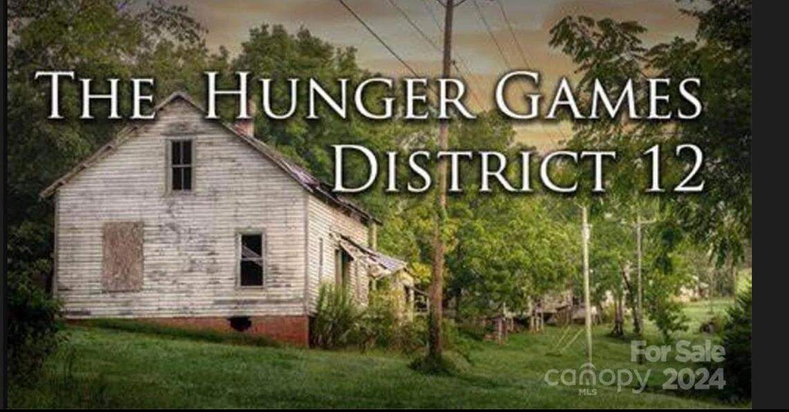 Since the 2012 film, the village has drawn visitors from across the world to the 4200 block of Henry River Road, Elaine Namour, one of the property owners, said.