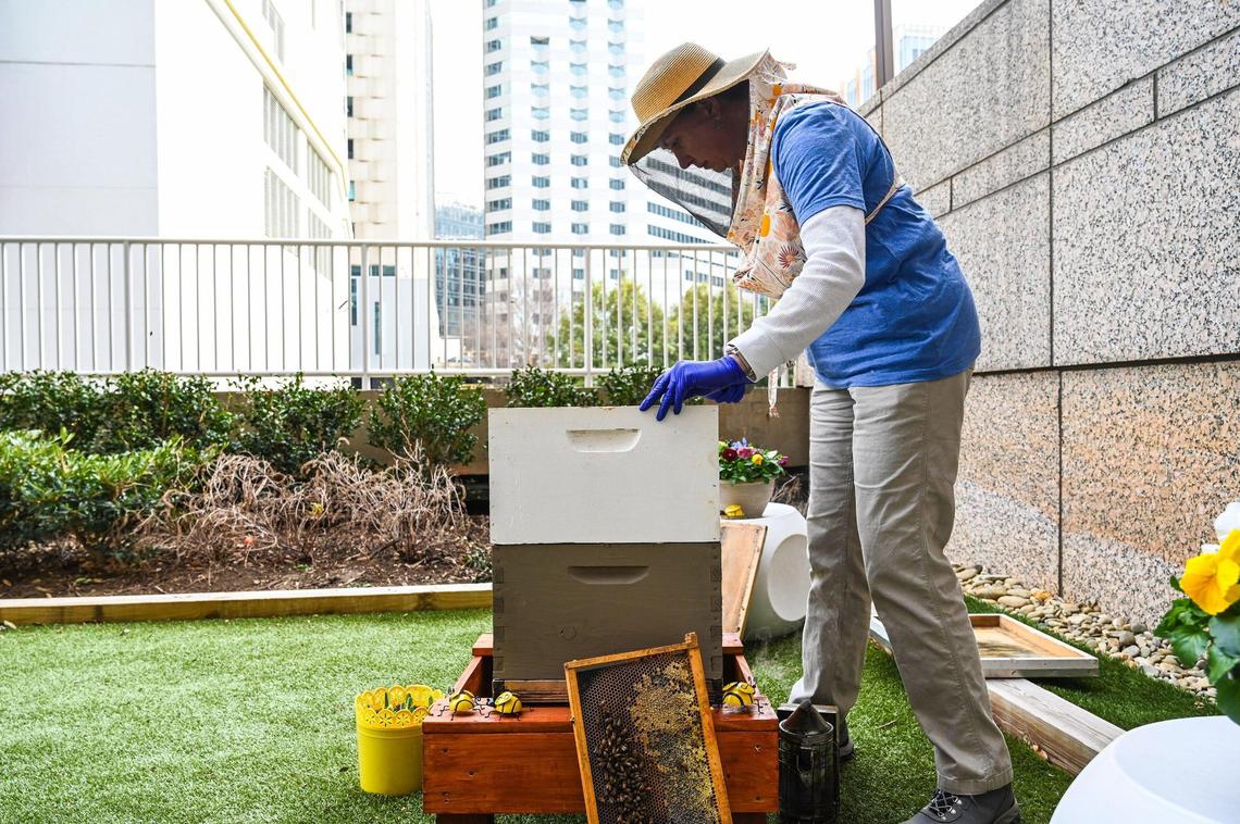 Jenny Ingraham, Field Operations and Support with BEE Downtown, replaces panels as she closes a bee hive at Carillon Tower on West Trade Street on Wednesday, February 2, 2022 in Charlotte, NC.