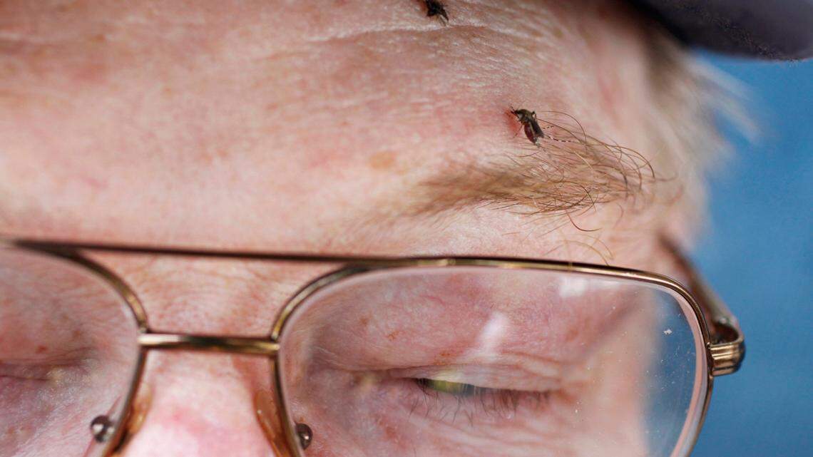 West Nile Virus cases rare but rising in NC after wet summer: What you need to know