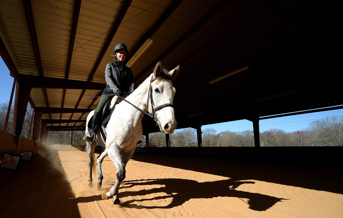 “He has a desirable bloodline in Holy Bull,” Morgan Fogarty says of Saint. “So hopefully, as we increase his training and he gets more experience and age, he’ll be a very valuable animal. But I’m not looking at them for resale value. They’re part of my life. So I don’t worry so much about like, ‘How much am I gonna get for this horse?’ Because I kind of fall in love with them, and then we keep them. I collect them. I would have way more if we could afford it.”