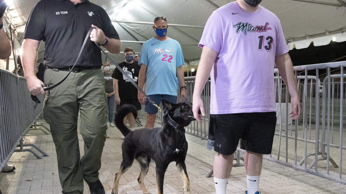 K-9 handler Wayne Weseman with Happy, a COVID-19 sniffing dog, checking on Miami Heat friends and family as they enter the AmericanAirlines Arena for the Miami Heat game against the Denver Nuggets on Wednesday, January 27, 2021.