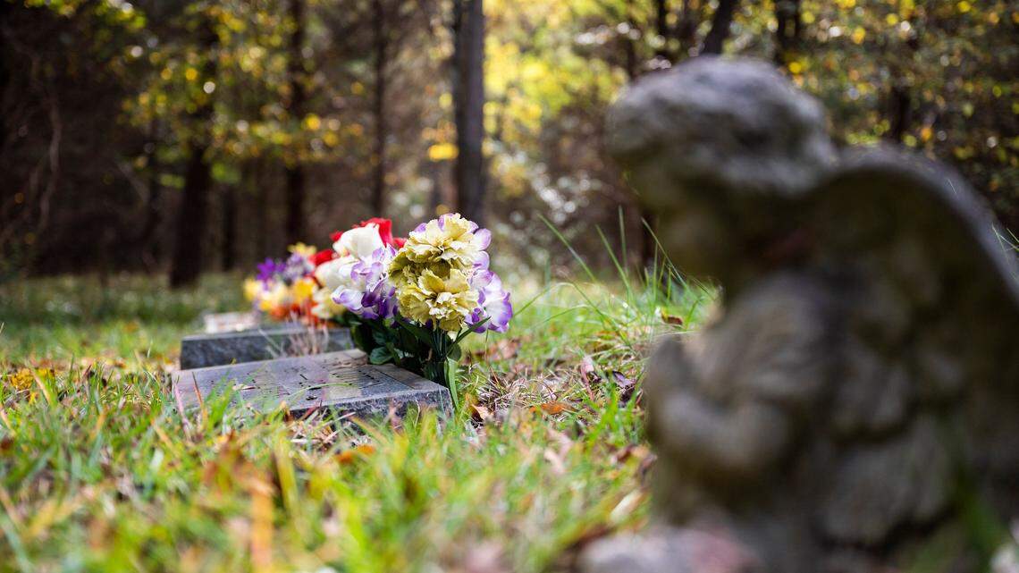 Can I bury my pet in the back yard? Here’s what Georgia law says about home funerals