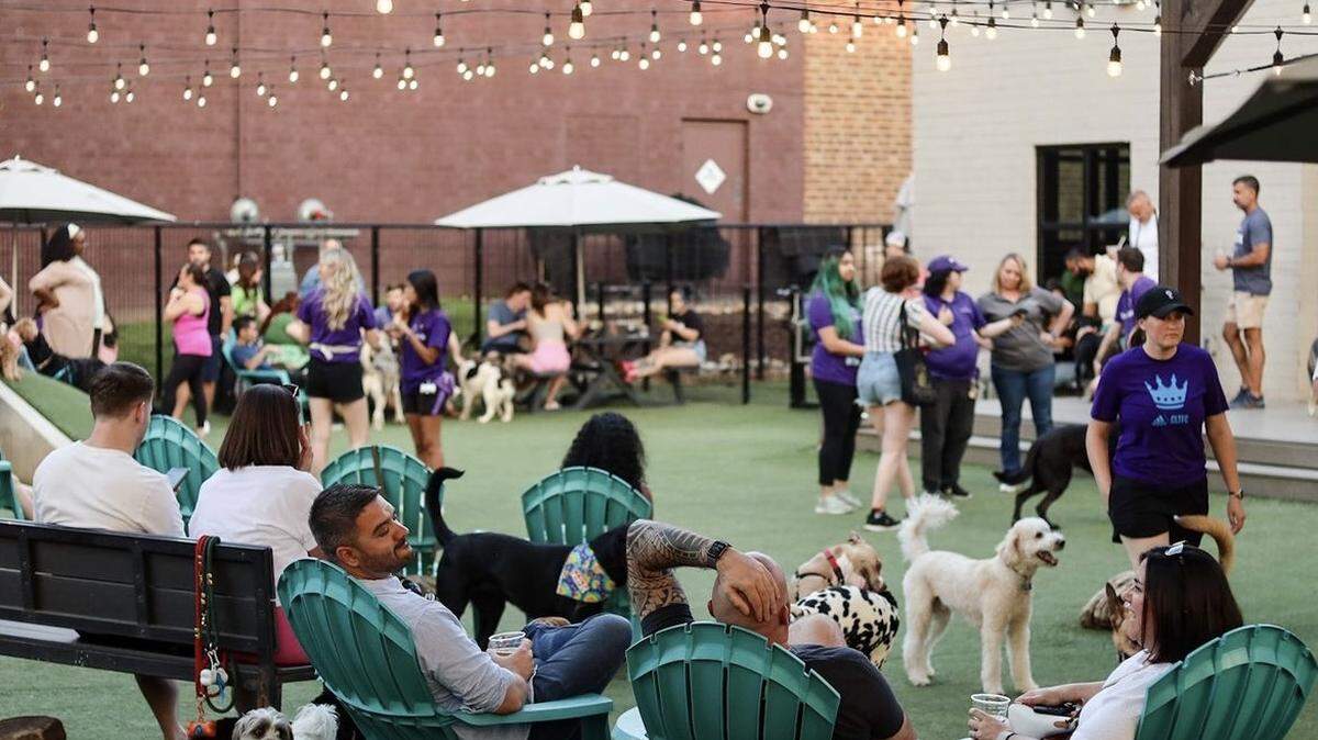 Bring your best furry pal out for a date at Skiptown.