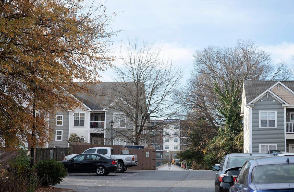 An assortment of small trees that have been planted are seen along sidewalks between apartment complexes off Parkwood Avenue on Thursday, December 2, 2021 in Charlotte, NC. The North Carolina tree ordinance guideline for Charlotte states that commercial sites developing for the first time after 2010 will have a fifteen percent tree save requirement that can be satisfied by existing trees providing canopy or by trees planted.