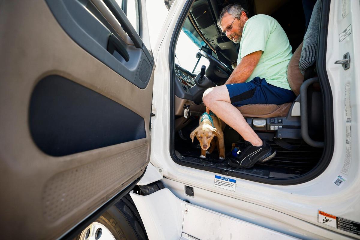 Trucker Tony Willis of Punxsutawney, Pennsylvania, sits with puppy Smokey at the Pilot truck stop in Troutman, N.C., Wednesday, July 27, 2022. Willis and his wife, Darleen Willis, were headed to Warren, Ohio, to visit family.