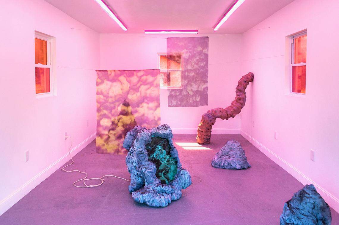 The March 2021 show at Stone House Art Gallery featured works by artists Clare Gatto and Kara Güt, who worked remotely in their respective cities of Detroit (Gatto) and Cleveland (Güt) to create “Spawning Point.” It’s a hybrid sculptural and digital installation, part of which was completed on-site.