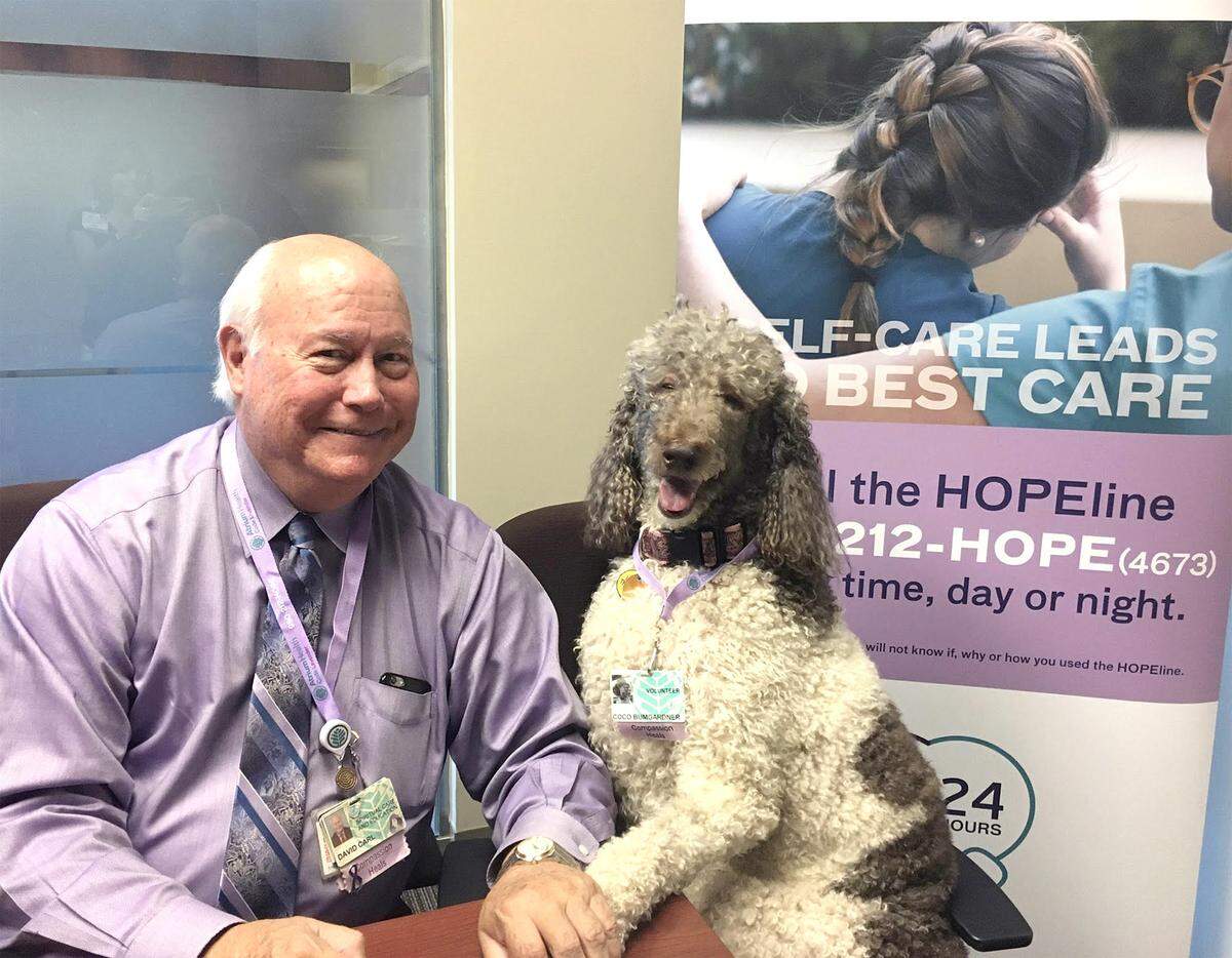 David Carl, a hospital chaplain of more than 30 years, oversees a program at Atrium called “Code Lavender” to address compassion fatigue and burnout among healthcare providers. Among the strategies in the program is dog therapy.