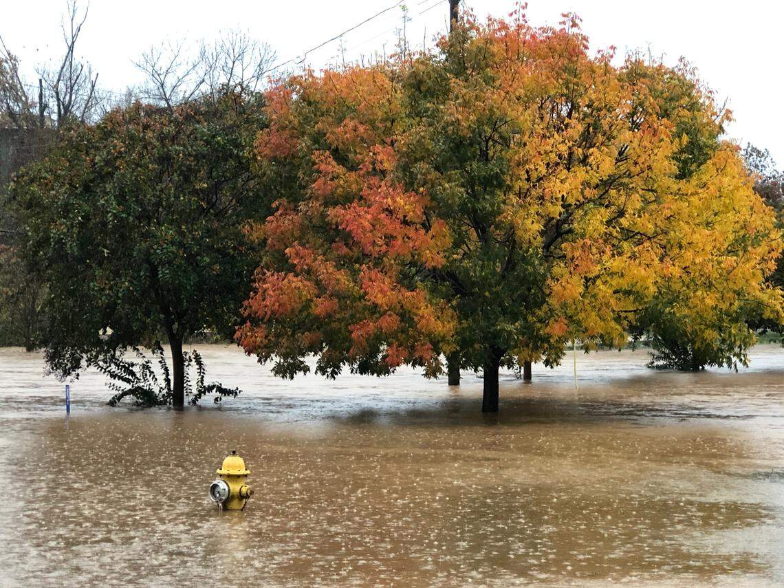 Flood water partially covers a fire hydrant on Woodruff Place in Charlotte, NC on Thursday, November 12, 2020.