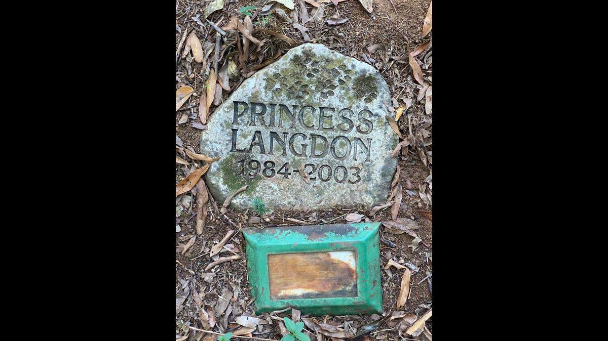 Princess Langdon the cat’s grave at the Charlotte Pet Cemetery, 7135 South Tryon Street.