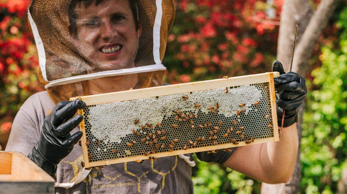 Justin Orders of Queen’s Orders Honey holds a frame of honeycomb.