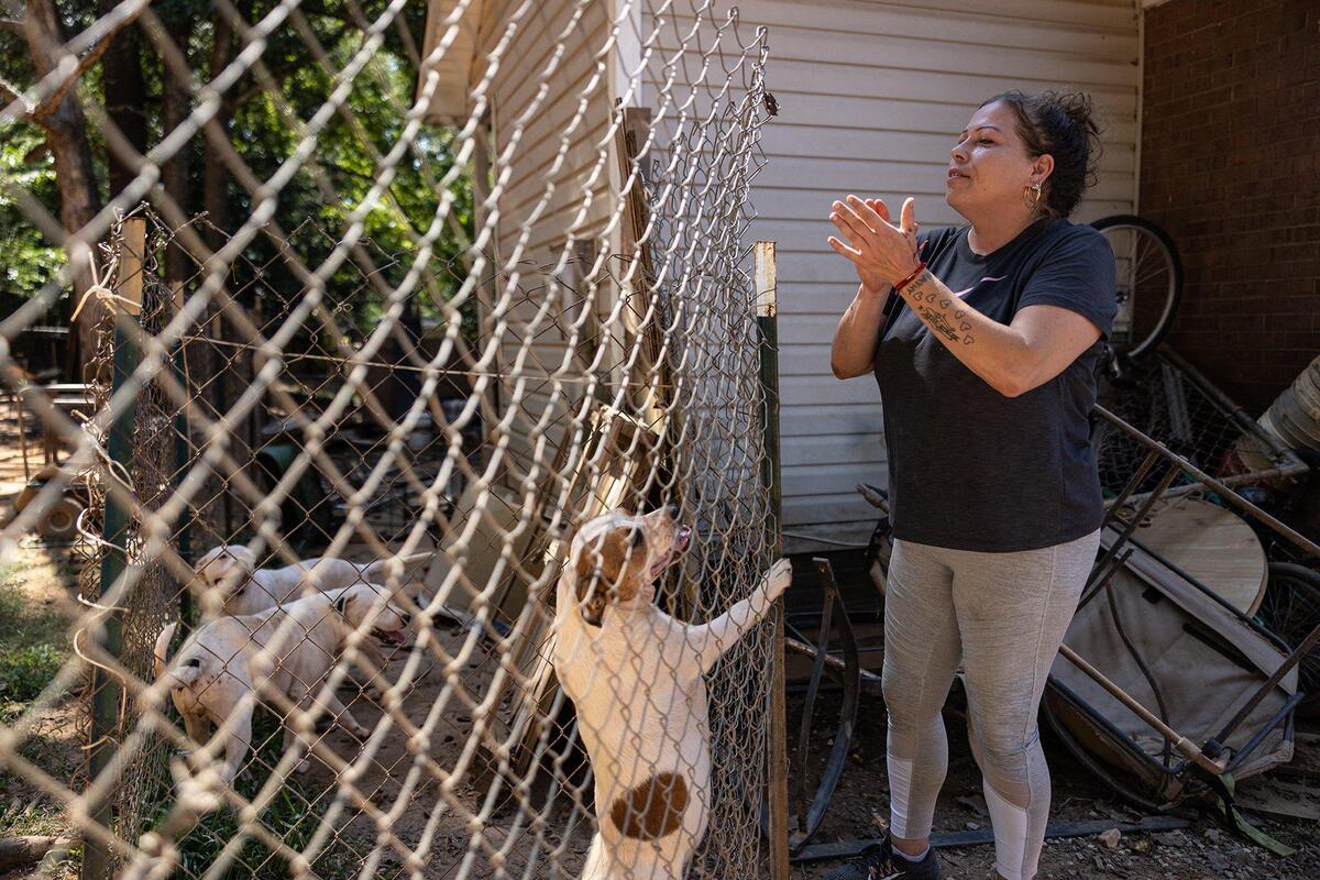 Katherine’s dogs clamor for her attention in the backyard.