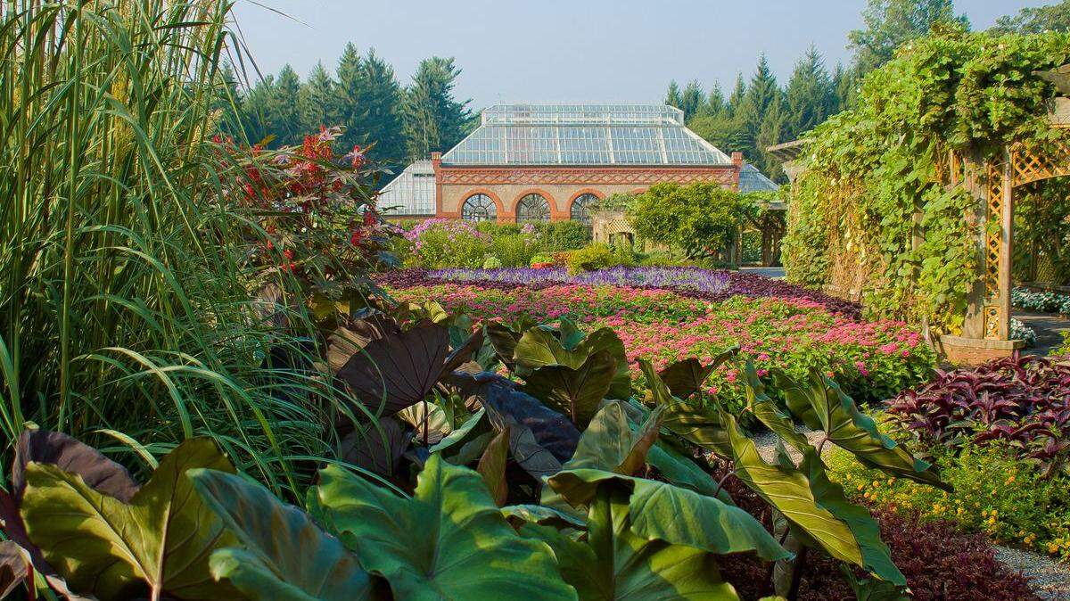 Tropical palm trees and florals in the Walled Gardens during summer at Biltmore Estate.