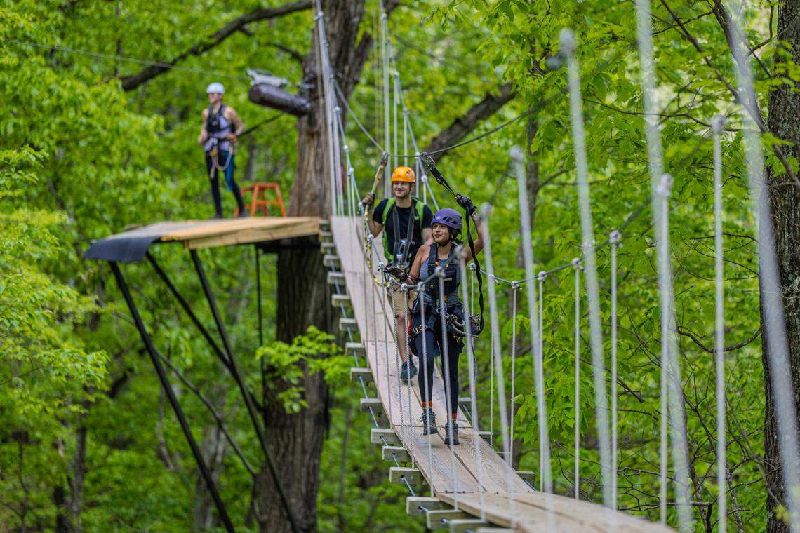 The Gorge Zipline offers guided tours for guests 10 years and older.
