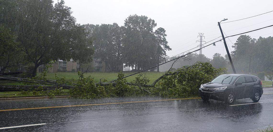 Large downed tree brach takes out power lines and blocks traffic on Sharon Amity Rd. Near Monroe Rd. Sunday