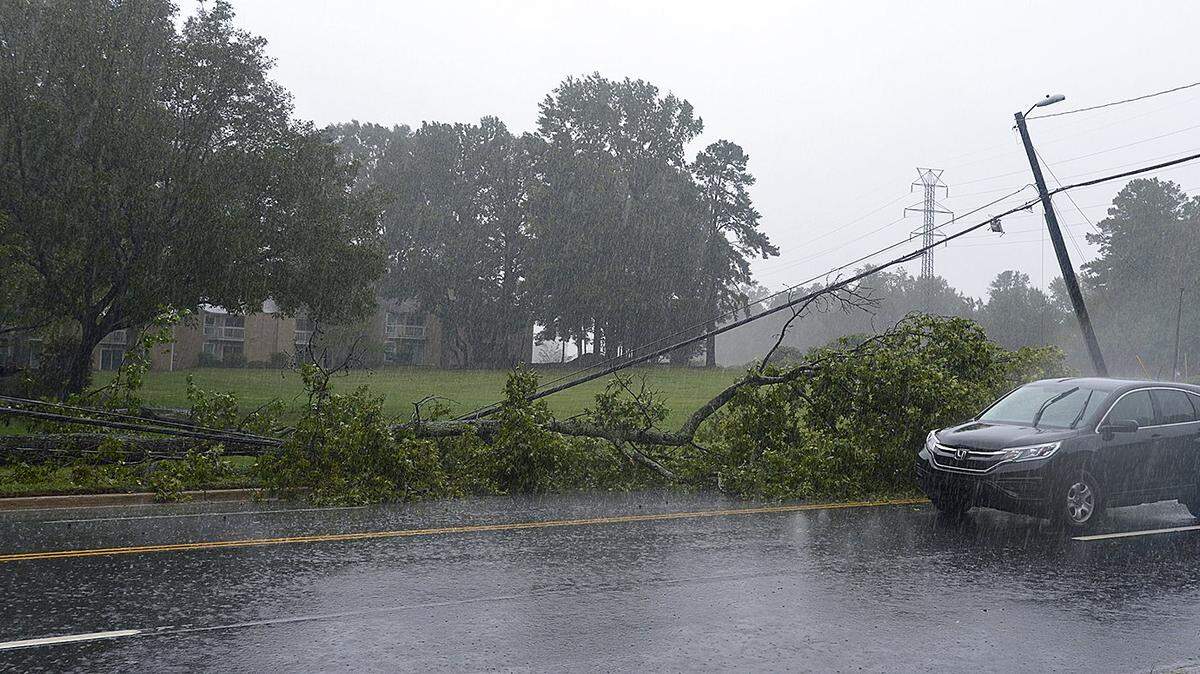 Large downed tree brach takes out power lines and blocks traffic on Sharon Amity Rd. Near Monroe Rd. Sunday