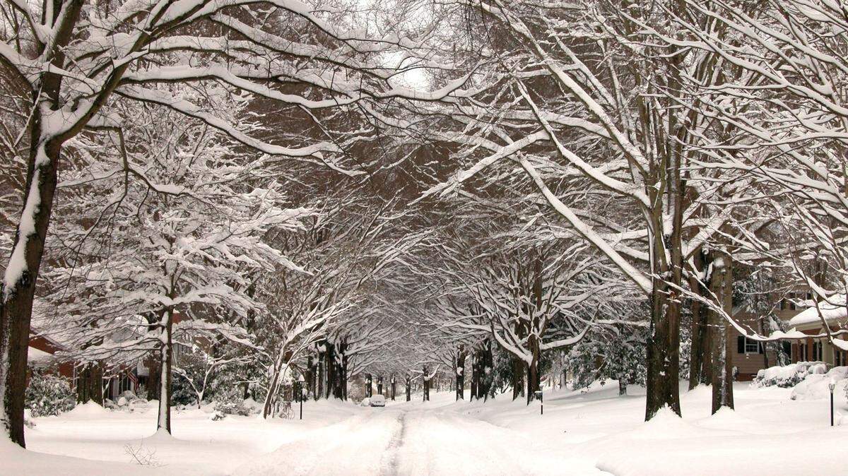 Winter weather survival guide: How to stay safe & warm when snow or ice are forecast in NC
