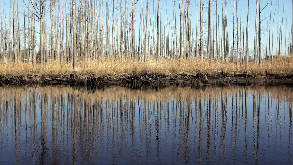 Cape Fear River where a group of tubers lost their way in the dark and had to be rescued late Monday.