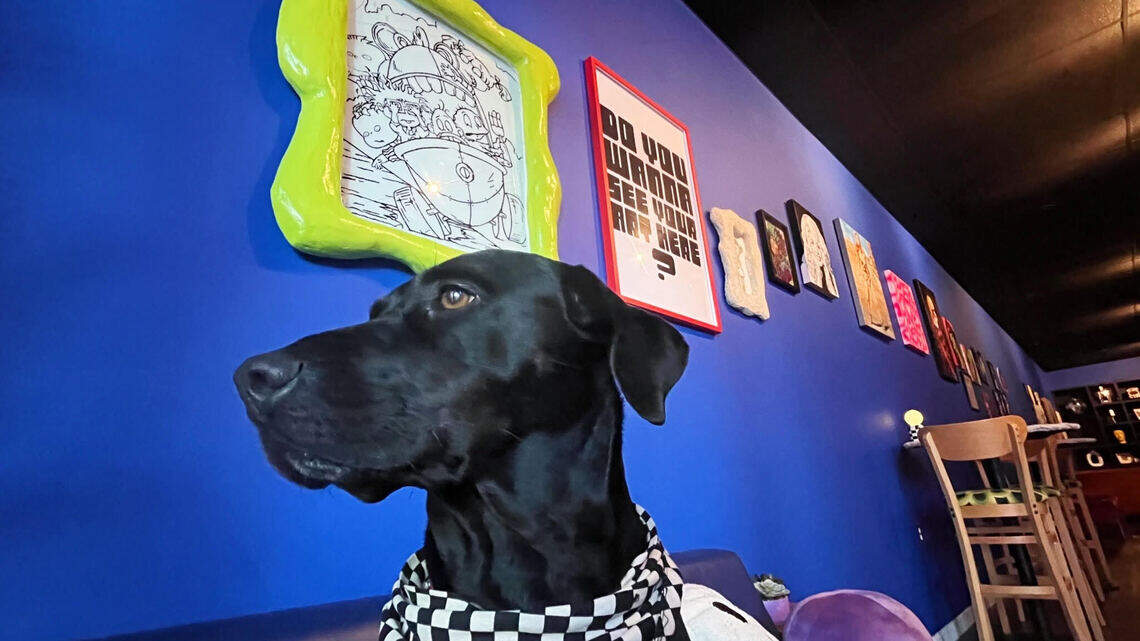 Part gallery, part bar: New Charlotte gallery space meshes art, cocktails (+ a dog!)