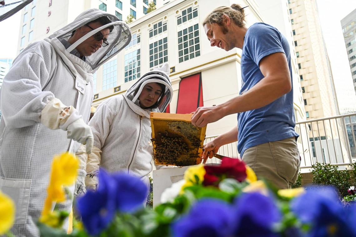 Harrison Bolton, head beekeeper for Bee Downtown, right, educates Paul Stojancic, left, and Amiee Marenna, who work at the Carillon tower in uptown. Bee Downtown, a company based out of Raleigh, will install two permanent bee hives in a courtyard next to the building as part of a growing trend at office spaces across the Southeast.