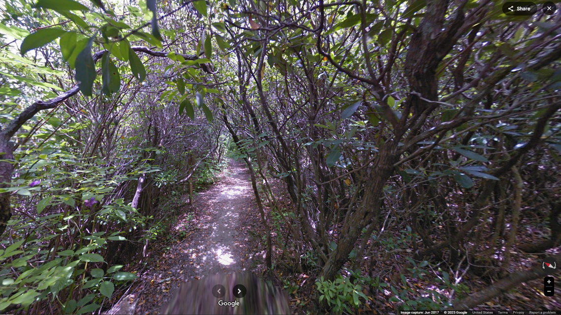 Muhammad Sultan, 58, of Columbia, died while hiking the Graveyard Fields Trail along the Blue Ridge Parkway in North Carolina, the park says.