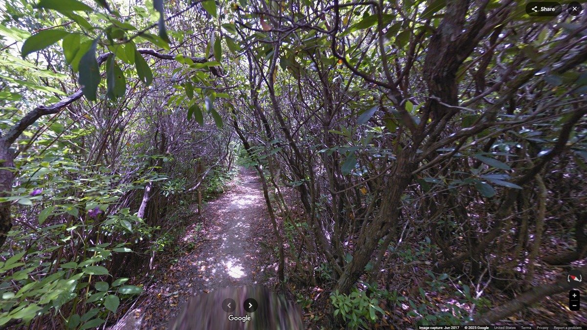 Muhammad Sultan, 58, of Columbia, died while hiking the Graveyard Fields Trail along the Blue Ridge Parkway in North Carolina, the park says.