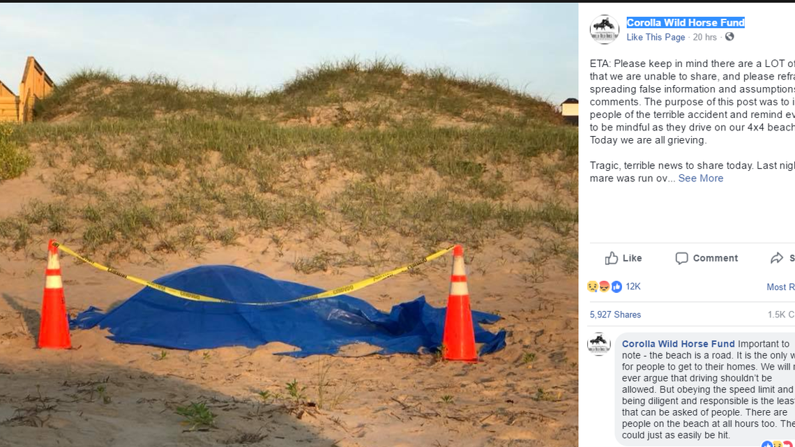 A mare was run over and killed Saturday night by a four-wheel drive on the Outer Banks.