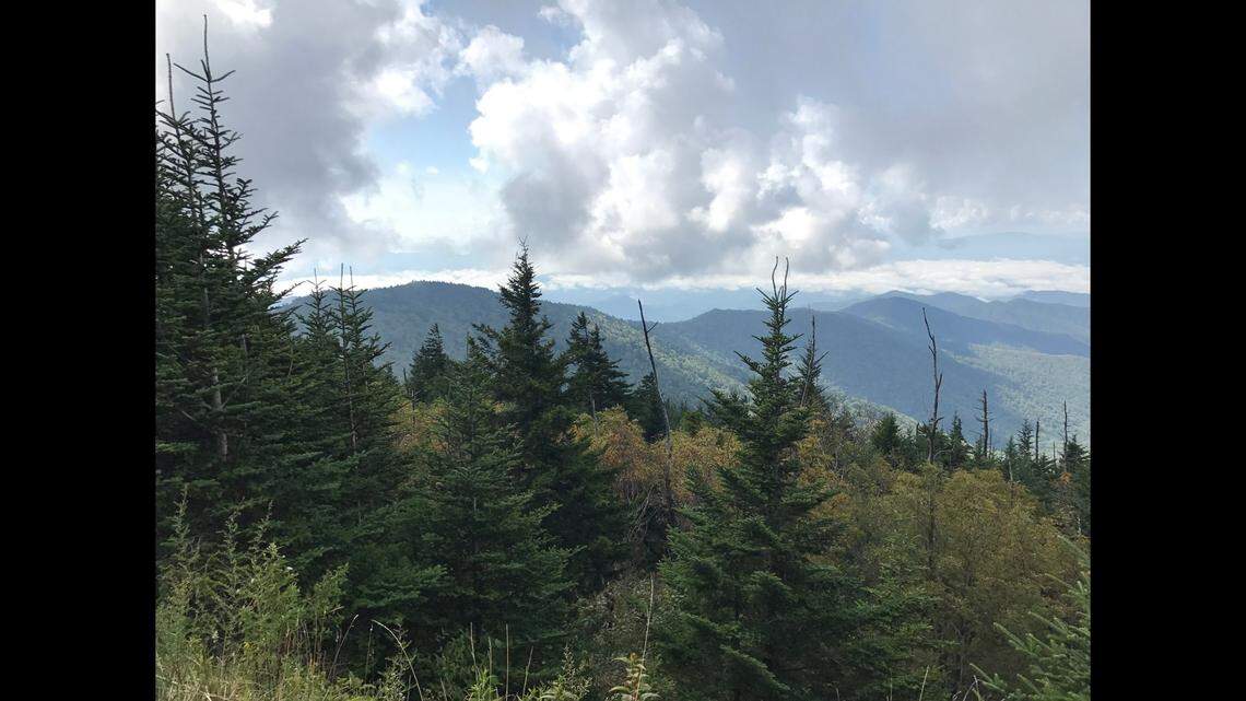 Great Smoky Mountains National Park officials plan to close several roads across the park due to a forecast of wind gusts of 90 mph.