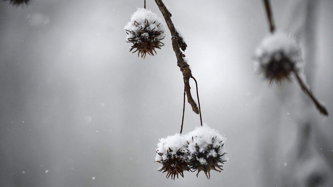 Winter weather is in Charlotte. How to heat and power your home safely