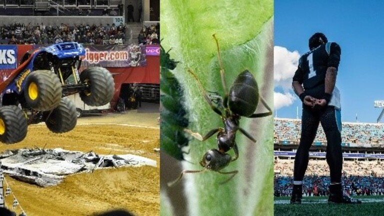 Charlotte has some cool (and wacky) world records thanks to ants, monster trucks & Cam