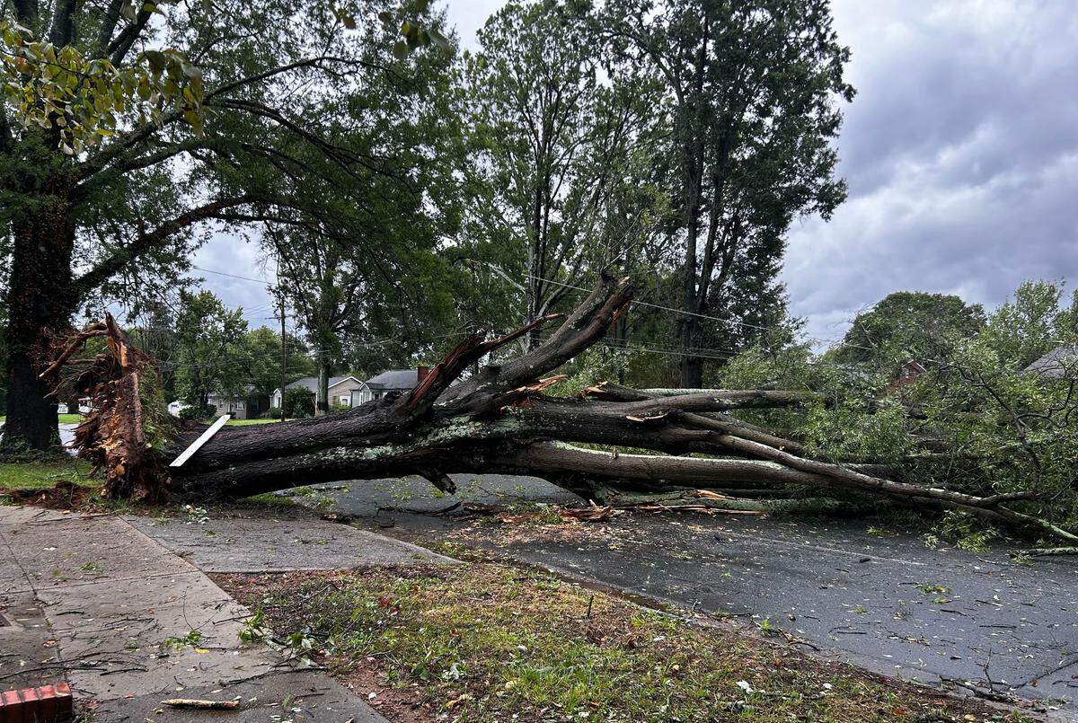 A downed tree blocks Eastway Drive Friday morning Sept. 27, 2024 in Charlotte as Hurricane Helene moved across NC