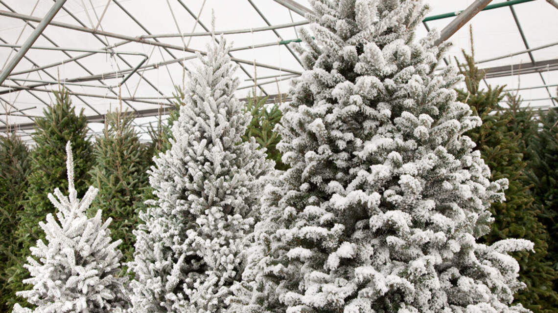 In 2020, more are decorating for Christmas before Thanksgiving. Here’s why.