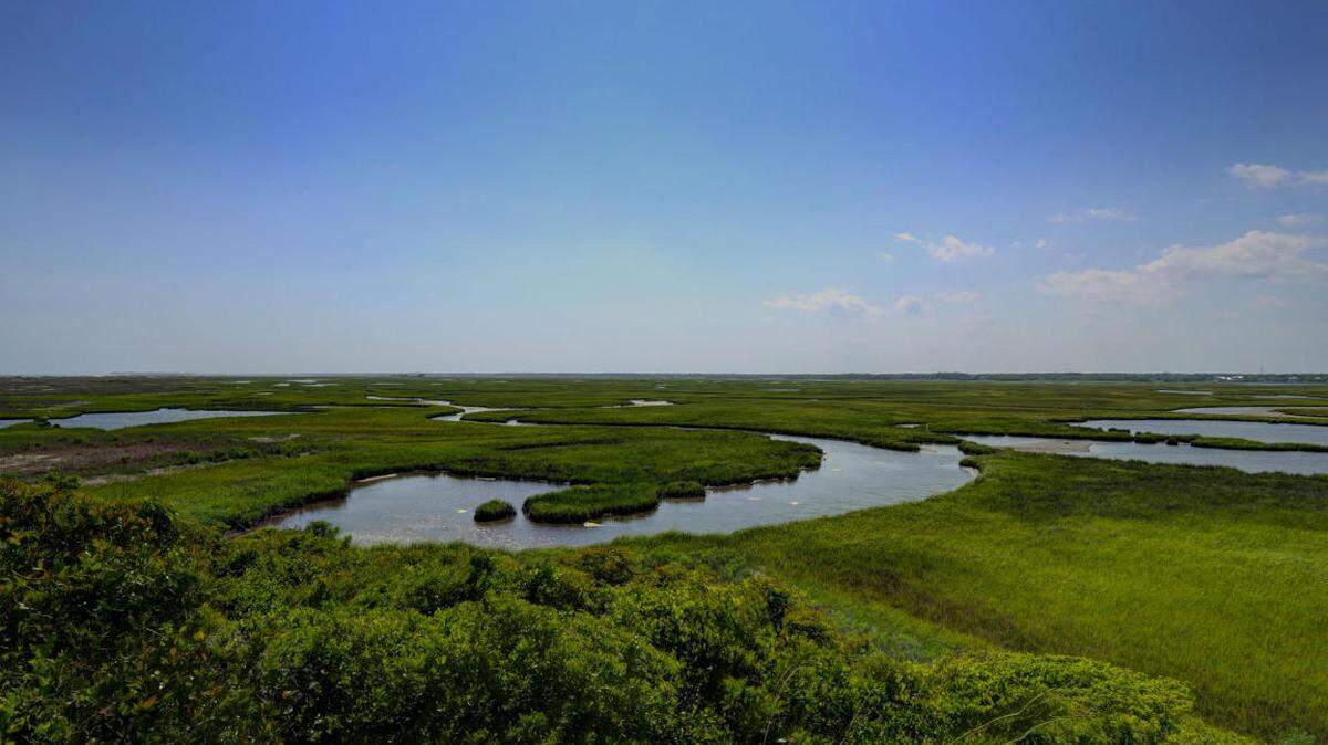 Lea Island is in Pender County, between Wilmington and Topsail Island. Eighty acres of it is for sale.