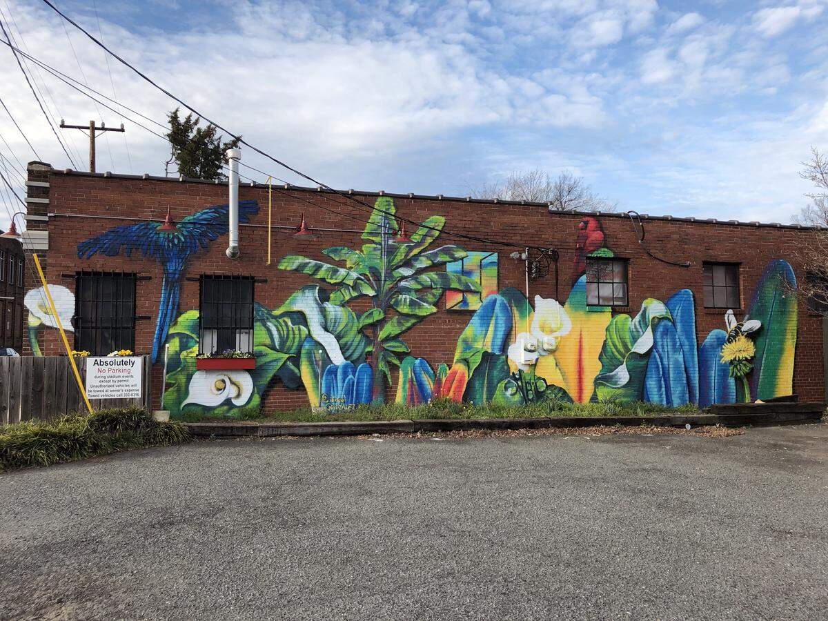 This is the mural Irisol Gonzalez painted during her 8-week Meta Mural Residency. It’s on the wall outside Palmer St. Arcade in Charlotte’s Gold District. Gonzalez says it depicts the intersection of tropical and North American natural scenes. .
