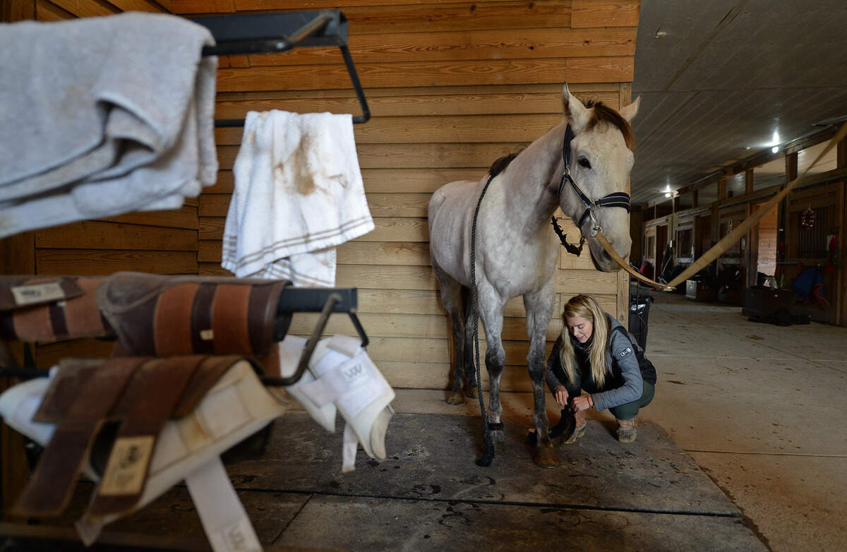 Morgan Fogarty removes Saint’s horse boots prior to a ride.