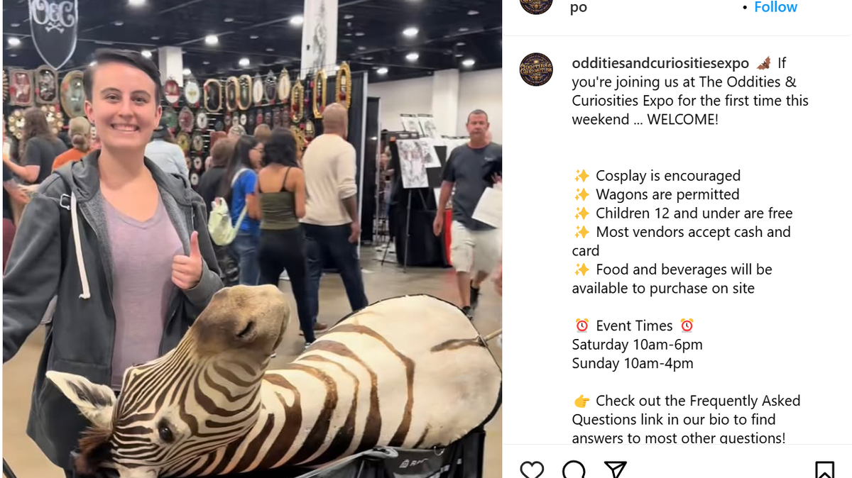 The Oddities and Curiosities Expo features items for sale and convention attendees on its Instagram page.