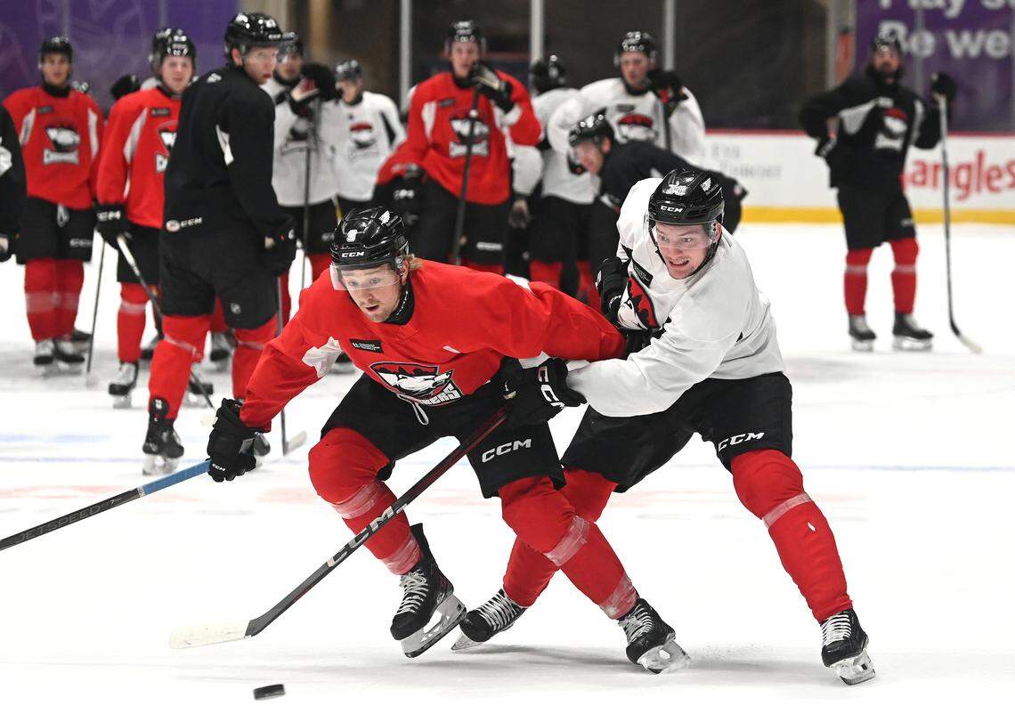 Charlotte Checkers Rasmus Asplund, left and teammate Oliver Okuliar, right, fight for control of the puck during practice at Bojangles Coliseum in Charlotte, NC on Tuesday, October 15, 2024. The Checkers will play their first two home games against the Cleveland Monsters on Friday, October 18th and Saturday, October 19th.