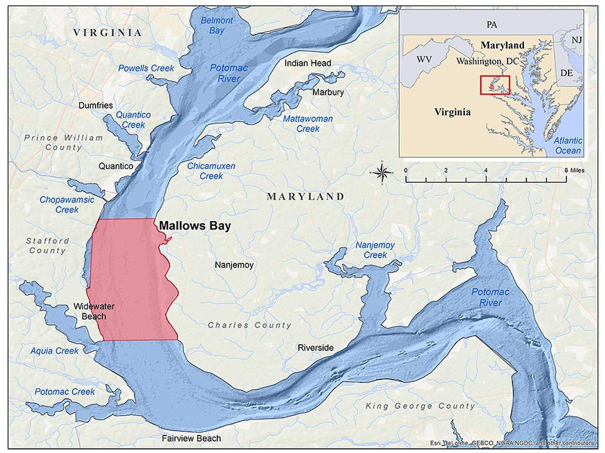 Mallows Bay-Potomac River National Marine Sanctuary features more than 100 abandoned wooden boats from World War I.