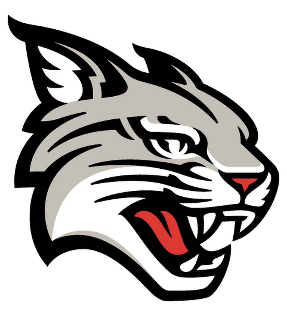 The new Davidson College logo of a snarling wildcat.