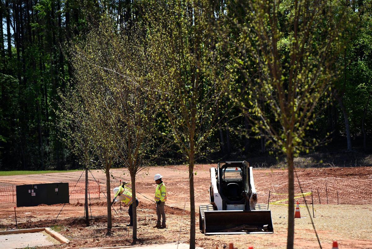Workers stake American Elms at The River District. The elm trees are just a few of the thousands of trees developers say will be newly planted at the development. With 500 acres of preserved green space, mixed income housing and miles of walking and bike trails, the River District earned a sustainability designation, which focuses on creating healthy life within the planet’s limitations.