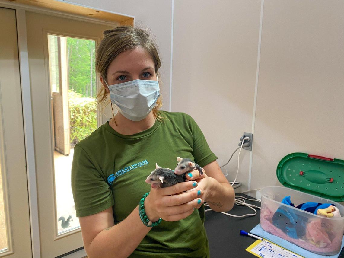 Morgan Rafael is the Executive Director of the Carolina Wildlife Conservation Center.